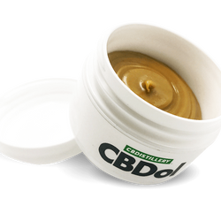 CBDol Topical CBD Salve (500mg)